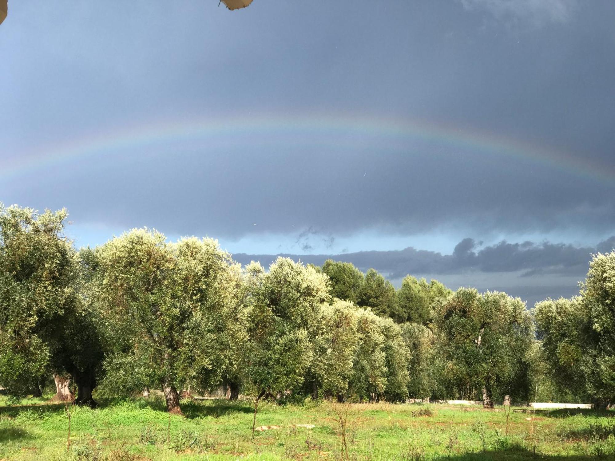 Tenuta La Pomona Ostuni Buitenkant foto